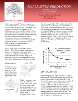 maple syrup production - Iowa State University Extension and
