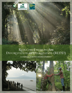 REDUCING EMISSIONS from DEFORESTATION and