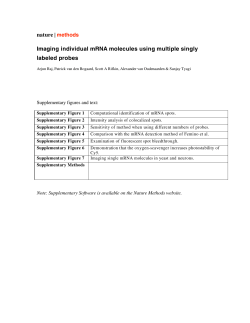 nature | methods Imaging individual mRNA molecules using multiple