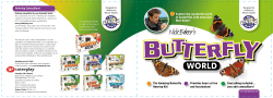 Butterfly World Instructions