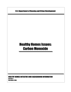 Healthy Homes Issues: Carbon Monoxide