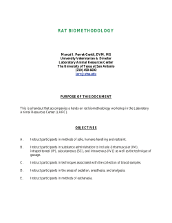 rat biomethodology - The University of Texas at Dallas