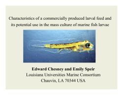 Characteristics of a commercially produced larval feed and its