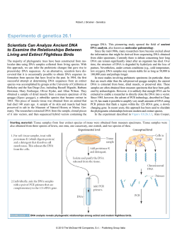 26.1 Scientists Can Analyze Ancient DNA to Examine