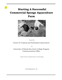Starting a successful commercial sponge aquaculture farm