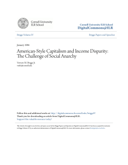 American-Style Capitalism and Income Disparity