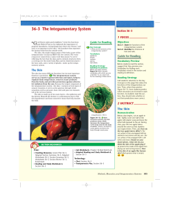36&ndash;3 The Integumentary System - This area is password protected