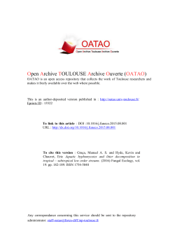 PDF (Author`s version)