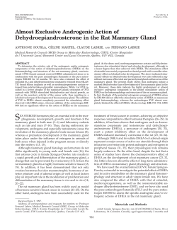 Almost Exclusive Androgenic Action of Dehydroepiandrosterone in