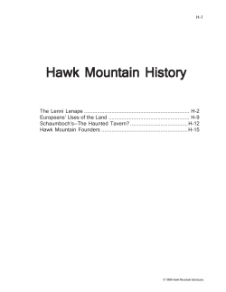 animals in forest - Hawk Mountain Sanctuary