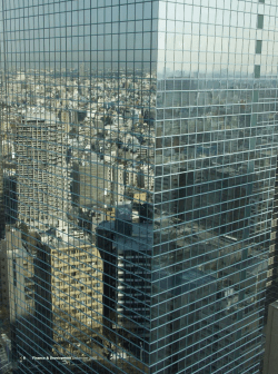 The urban revolution