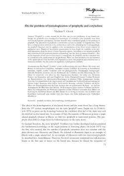 On the problem of homologization of prophylls and cotyledons