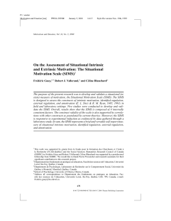 On the Assessment of Situational Intrinsic and Extrinsic Motivation