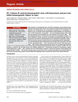 IP3 3-kinase B controls hematopoietic stem cell homeostasis and