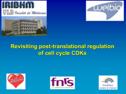 Re-evaluating post-translational regulation of cell cycle CDKs
