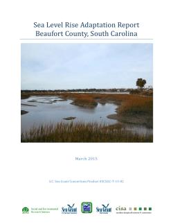 Sea Level Rise Adaptation Report &ndash; Beaufort County, SC
