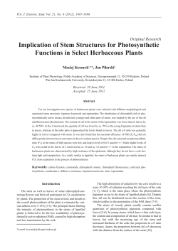 Implication of Stem Structures for Photosynthetic Functions in Select