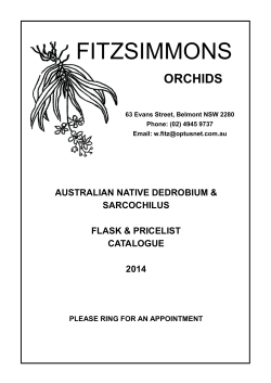 fitzsimmons - ANOS Warringah Group