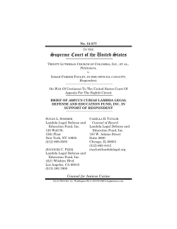 the amicus brief