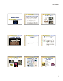 14/01/2014 1 Kingdom Fungi