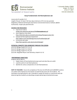 Assay Fundamentals: Gel Electrophoresis Lab