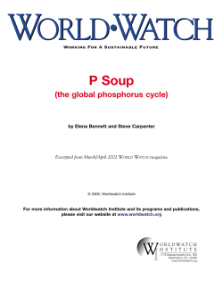P Soup (the global phosphorus cycle)