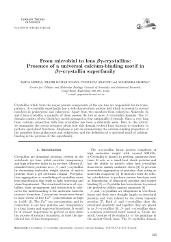 From microbial to lens &beta;&gamma;-crystallins: Presence of a universal