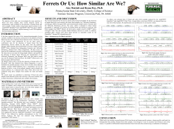 Alex Mattioli and Reena Roy, Ph.D. Pennsylvania State University