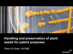 Handling and preservation of plant seeds for patent purposes