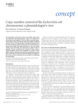 Copynumber control of the Escherichia coli chromosome: a