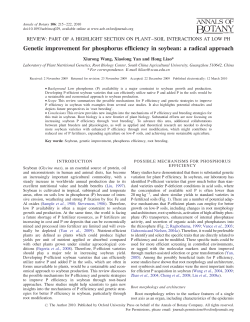 Genetic improvement for phosphorus efficiency in