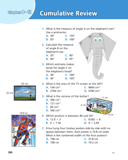 1. What is the measure of angle A on the elephant`s ear? Use a