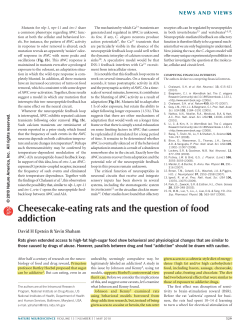 Cheesecake-eating rats and the question of food addiction
