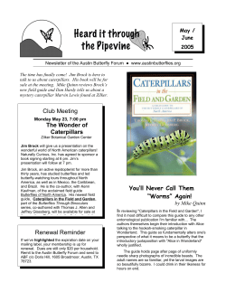 May 2005 - Austin Butterfly Forum