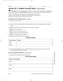 Section 22&ndash;3 Seedless Vascular Plants (pages 560