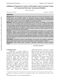 Inhibition of Nephrotoxic Activity of Mesobuthus Eupeus Scorpion