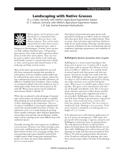 Landscaping with Native Grasses