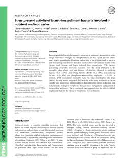 Structure and activity of lacustrine sediment bacteria involved in