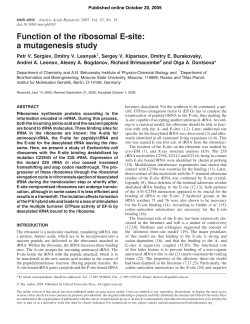 Function of the ribosomal E-site: a mutagenesis