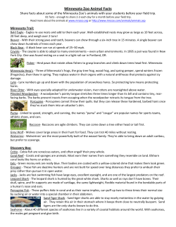 Minnesota Zoo Animal Facts