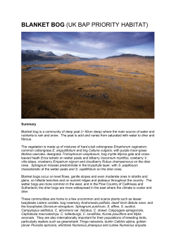 blanket bog (uk bap priority habitat)
