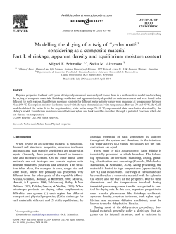 Modelling the drying of a twig of ``yerba matй`