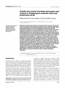 Escherichia coli Blr