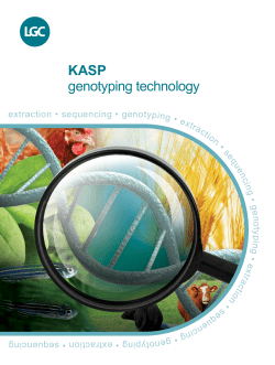 KASP genotyping technology