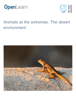 Animals at the extremes: The desert environment
