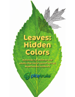 Leaves: Hidden Colors