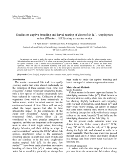 Studies on captive breeding and larval rearing of clown fish