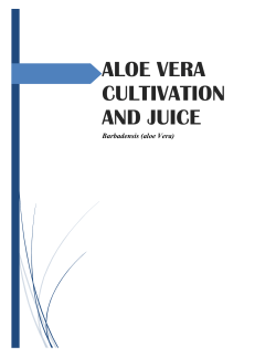 aloe vera cultivation and juice - Ministry of Labour and Human