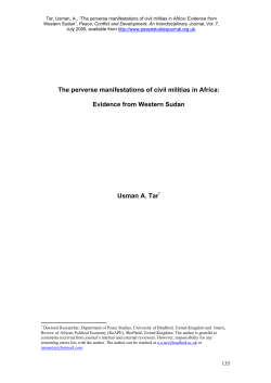 The perverse manifestations of civil militia in unstable states