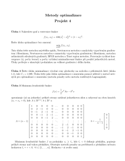 Metody optimalizace Projekt 4